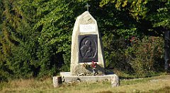 070_TZ60_P1150107_cr