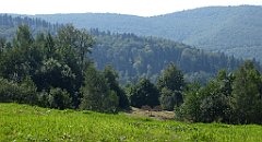 159_TZ60_P1150157_cr