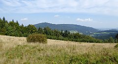 182_TZ60_P1150182_cr