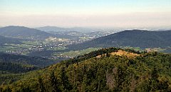 202_TZ60_P1150199_cr