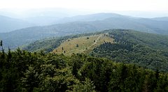 216_TZ60_P1150213_cr