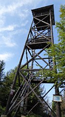 227_TZ60_P1150216_cr