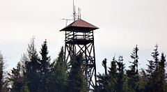 241_TZ60_P1150223_cr