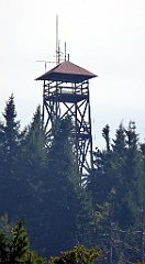 242_TZ60_P1150224_cr