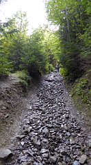 249_TZ60_P1150227_cr