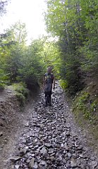 250_TZ60_P1150228_cr