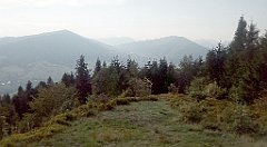 325_A806_IMG_20160909_163905_cr