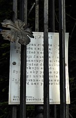 330_TZ60_P1150248_cr