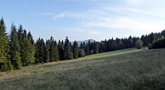 351a_TZ60_P1150267_cr