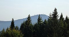 353_TZ60_P1150264_cr