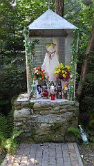 0005_TZ60_P1150287_cr