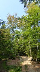 0047_TZ60_P1150316_cr