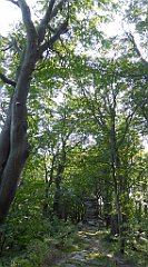 0078_TZ60_P1150339_cr