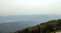 0125_TZ60_P1150380_cr