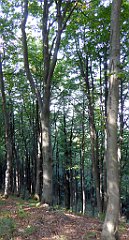 0204_TZ60_P1150432_cr