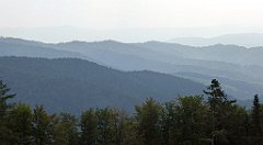 0220_TZ60_P1150447_cr