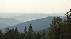 0222_TZ60_P1150450_cr