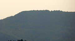 0224_TZ60_P1150452_cr