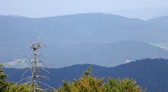 0236_TZ60_P1150457_cr