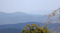 0238_TZ60_P1150461_cr