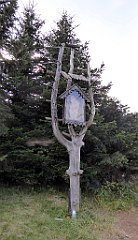 0259_TZ60_P1150471_cr