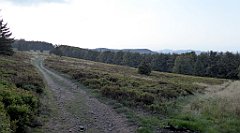 0285a_TZ60_P1150497_cr