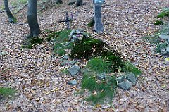 0302_TZ60_P1150513_cr