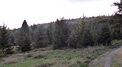 0307_TZ60_P1150518_cr