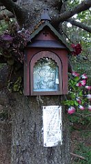 0318_TZ60_P1150527_cr