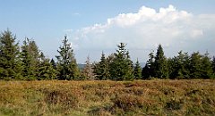 0324_A806_IMG_20160913_161214_cr