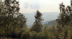 0340_TZ60_P1150539_cr