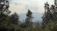 0341_TZ60_P1150540_cr