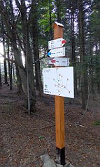 0365_TZ60_P1150542_cr