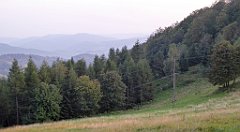 0394_TZ60_P1150561_cr