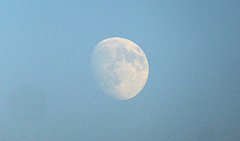 0396_TZ60_P1150563_cr