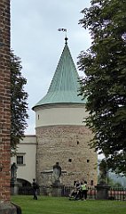 246_TZ60_P1150792_cr