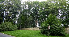 277a_TZ60_P1150802_cr