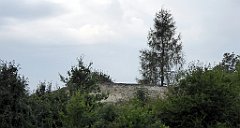 301_TZ60_P1150806_cr