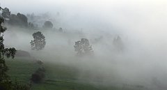 025_TZ60_P1150858_cr