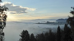 026_TZ60_P1150859_cr