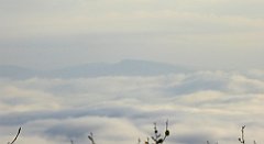 047_TZ60_P1150871_cr