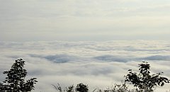 054b_TZ60_P1150875_cr