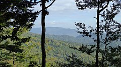 091_TZ60_P1150897_cr