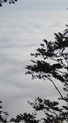 093_TZ60_P1150899_cr