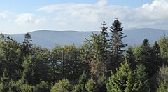 109_TZ60_P1150909_cr