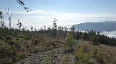 144a_TZ60_P1150940_cr