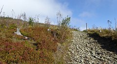 152_TZ60_P1150944_cr