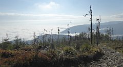 155a_TZ60_P1150945_cr