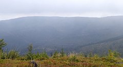 255_TZ60_P1150956_cr