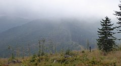 257_TZ60_P1150960_cr